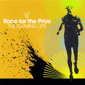 The Flaming Lips 7