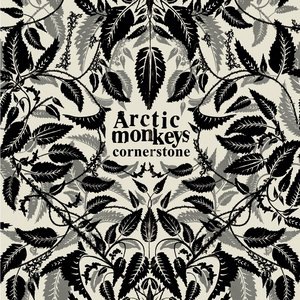 Arctic Monkeys 10