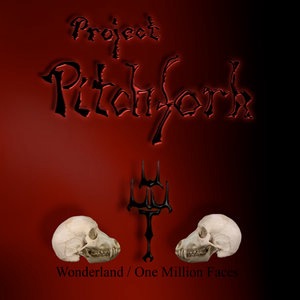 Project Pitchfork 11