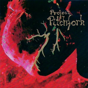 Project Pitchfork 9
