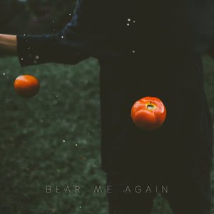 Bear Me Again 2