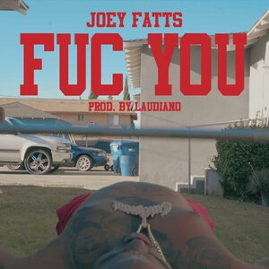 Joey Fatts 15