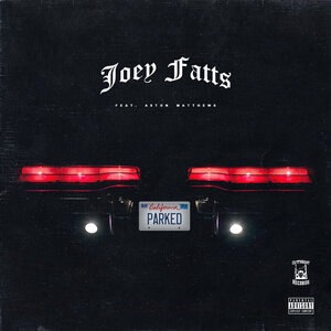 Joey Fatts 2