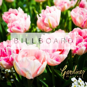 Billboard (If I'm Honest)