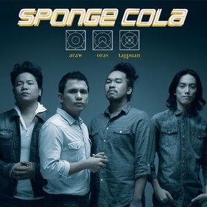 Sponge Cola 3