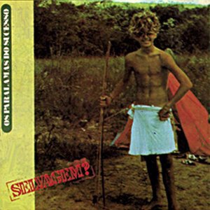 Os Paralamas Do Sucesso 15