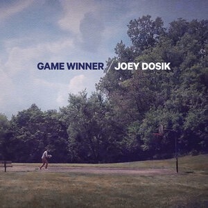 Joey Dosik 4