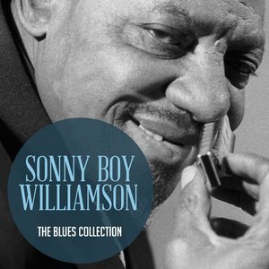 Sonny Boy Williamson 18