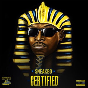 Sneakbo 22