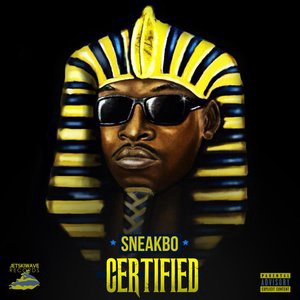 Sneakbo 11