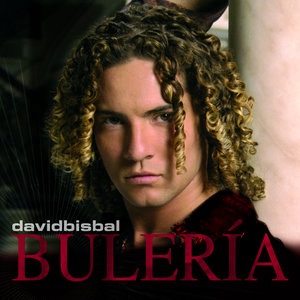 David Bisbal 6