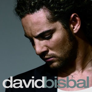 David Bisbal 5