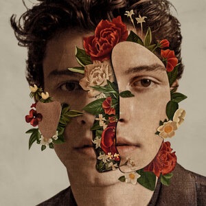 Shawn Mendes 9