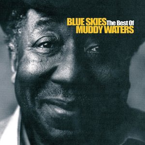 Muddy Waters 15