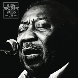 Muddy Waters 13