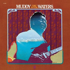 Muddy Waters 11