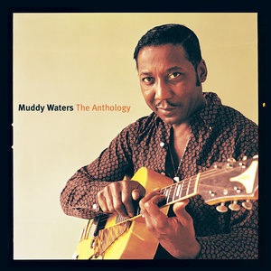 Muddy Waters 9