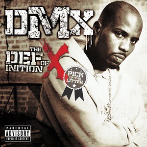 DMX 9
