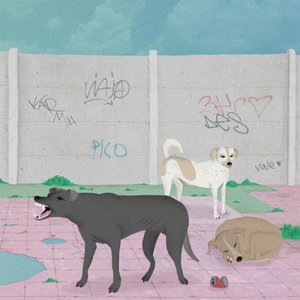 Constelaciones Nuevas