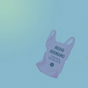 El Chico del Pórtico