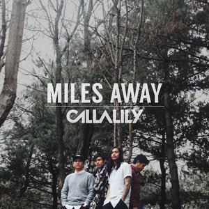 Callalily 6