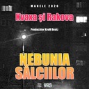 Nebunia sălciilor