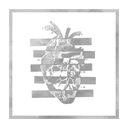 She's Making History Her Own