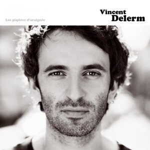 Vincent Delerm 3