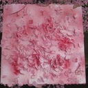 Seasons Change so Slowly