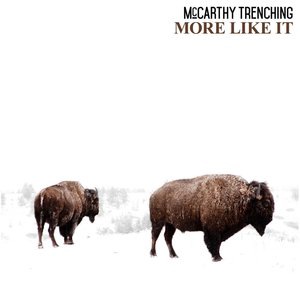 McCarthy Trenching 5