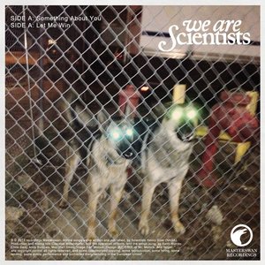 We Are Scientists 12