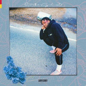 Diamonds Keep Me Company