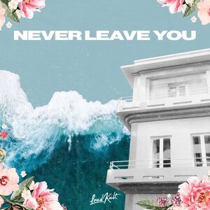 Never Leave You