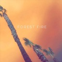 Forest Fire