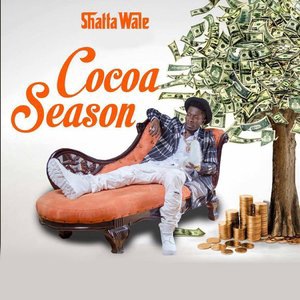 Shatta Wale 23