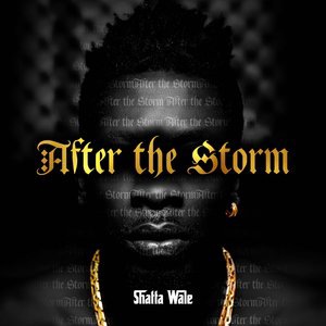 Shatta Wale 19