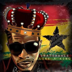 Shatta Wale 14