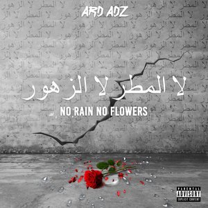 Ard Adz 6