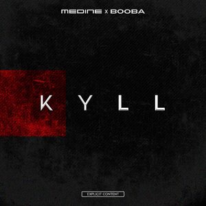 Booba 17