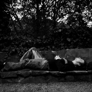 lol imagine being my fan i love u crazy bastards