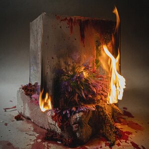 Ikat Aku Di Tulang Belikatmu