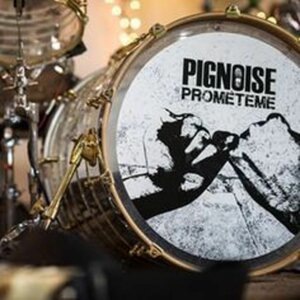 Pignoise 8