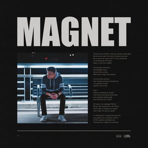 Magnet