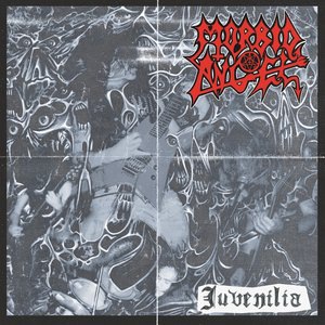 Morbid Angel 7