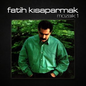 Fatih Kısaparmak 15