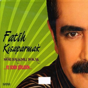 Fatih Kısaparmak 13