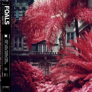 Foals 8