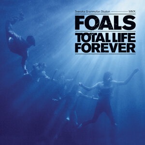 Foals 7