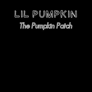 Lil Pumpkin 1