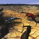 The Search For Terrestrial Life